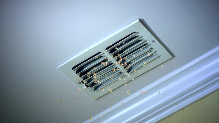 Best Home Air Vent Cleaning  in Freedom, CA